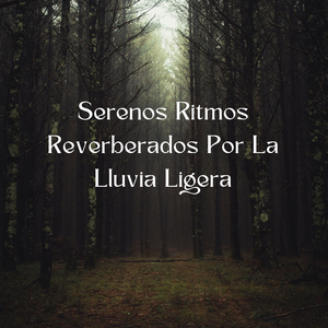 Belleza De La Diversidad