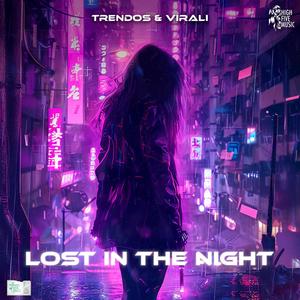 Lost In The Night