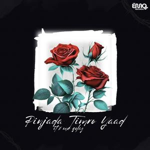 Pinjada Timro Yaad