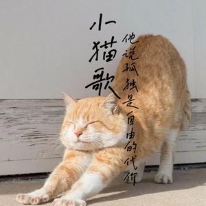 小猫歌