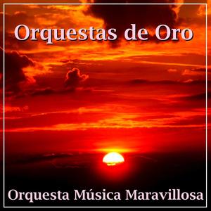 Orchestral Suite No. 3 In D Major, Bwv 1068