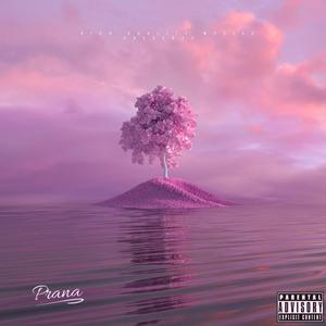 Pink Prana