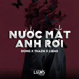 Nước Mắt Anh Rơi