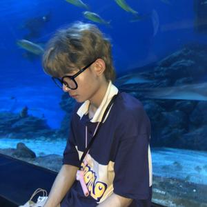 四季予你（翻自 小丑）