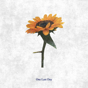 One Last Day