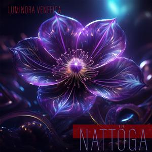 Nattöga