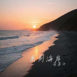 离别海岸