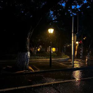 雪浸染万千华光