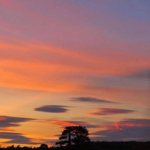 夕阳下的思念与惆怅