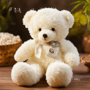 Teddy bear fly dream