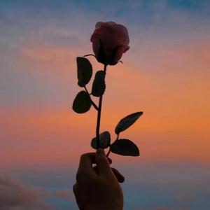 将雨未雨(Cloudy)