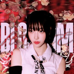 楼宇中盛开的蔷薇