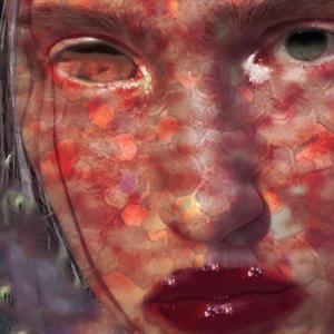 Did you see their eyes