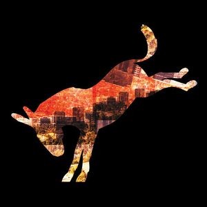 Fancy (Rooster Cogburn Remix)