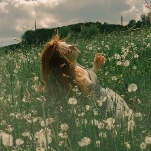 那天我会乘着风来看你