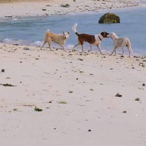 0 [무한한 공간]