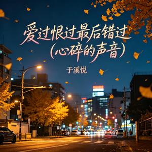 爱过恨过最后错过（心碎的声音）