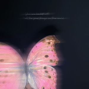 我也希望你能够再幸福