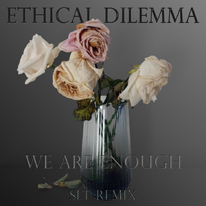 We Are Enough (SLT Remix)