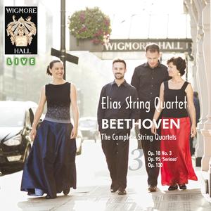 String Quartet No.13 in B-Flat Major, Op. 130: VI. Finale. Allegro