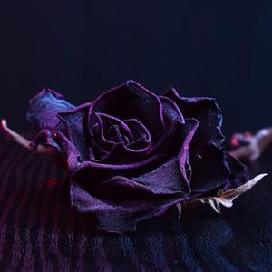 Maaf, Ku Mencintainya