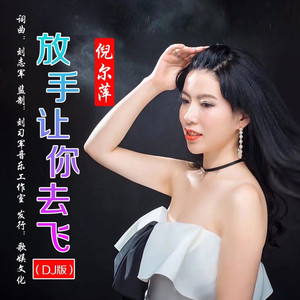 放手让你去飞 (DJ版)