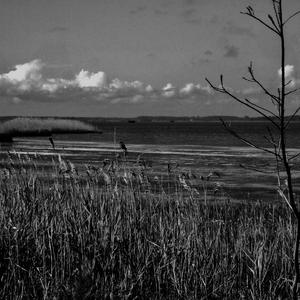 Swimming in the Weeds