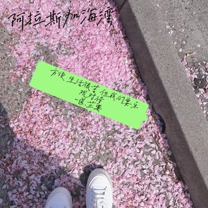 阿拉斯加海湾