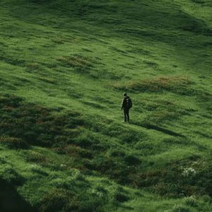 花开满城暮云间