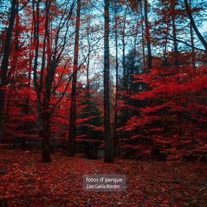 Prismas (feat. Alejandro Frómeta)