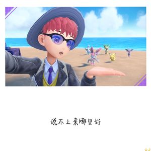 说不上来哪里好