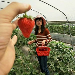 下辈子不一定还能遇见你