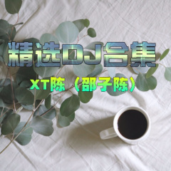 爱情错觉 (DJ版)