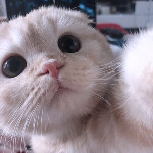 像暗杀似的绕到背后突然拥抱你