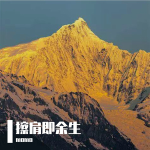执念随尘散