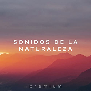 Activar la Memoria Con la Música