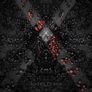 Ambrosia XIX (Album Version)