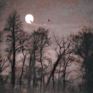 Castle Of Love (feat. yungcray)