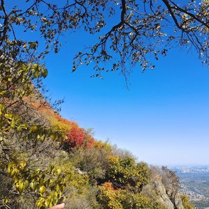 目及皆是你（女生完整版）