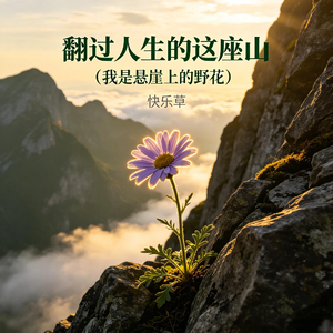 翻过人生的这座山（我是悬崖上的野花）