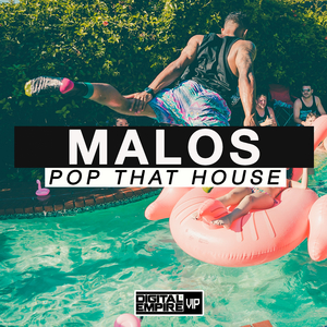 Pop That House (Original Mix)