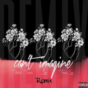 Can't Imagine Remix