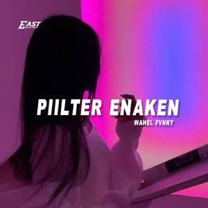 Piilter Enaken