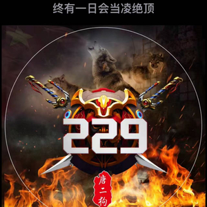 229战歌