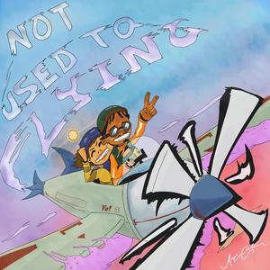 Not Used To Flying