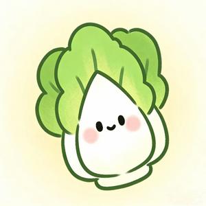 白菜对我笑（DJ加速版）