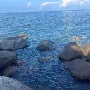 初见悸动的浪漫之约