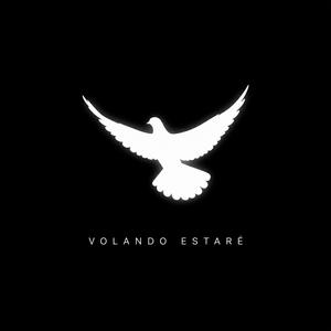 Volando Estaré