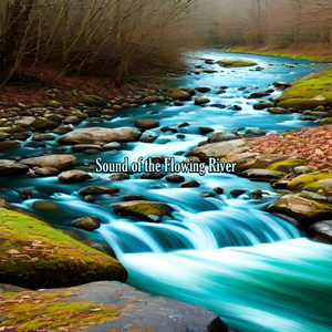 The River Flows in the Middle of the Forest