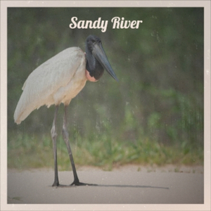 Let me take you away